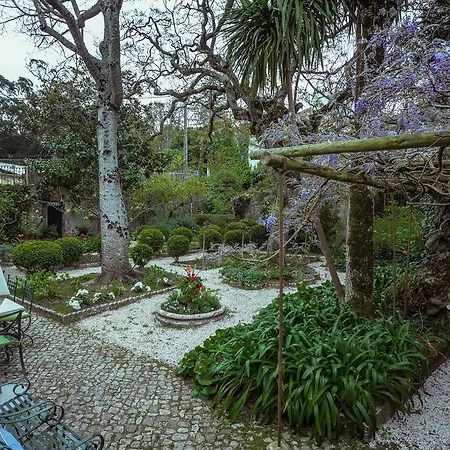 Guest house Sao Miguel